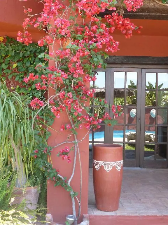 Casa Las Palmeras (Adults Only) Marbella Spagna