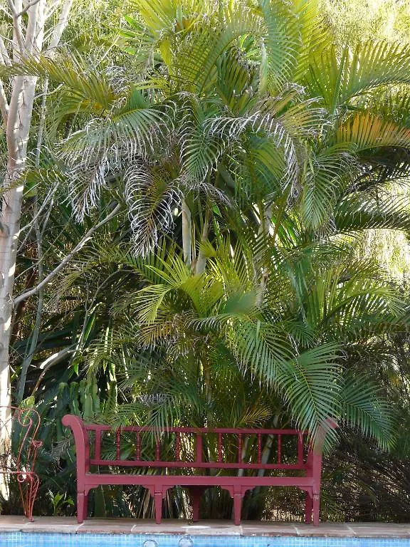 Casa Las Palmeras (Adults Only) Marbella