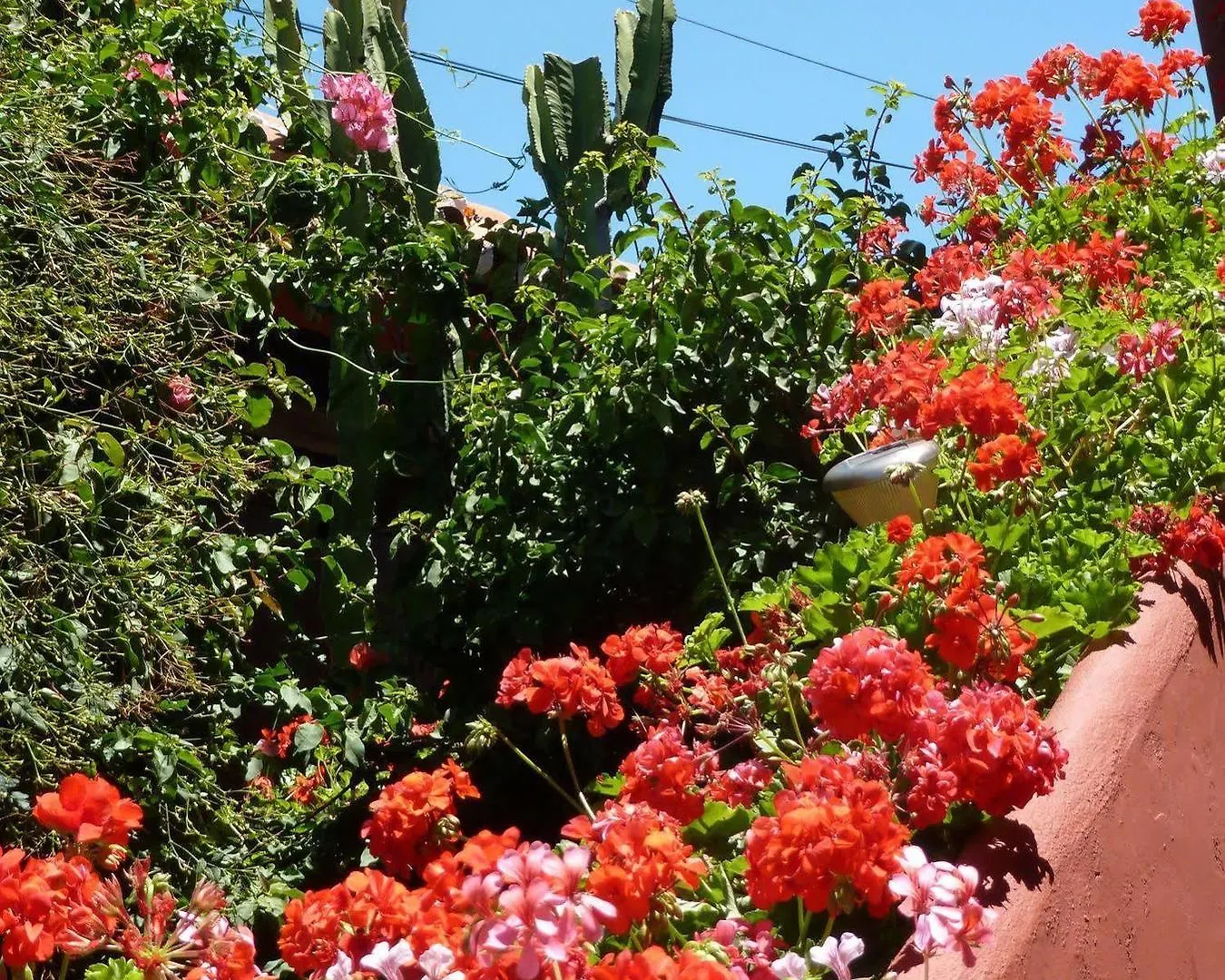 Casa Las Palmeras (Adults Only) Marbella 3*,