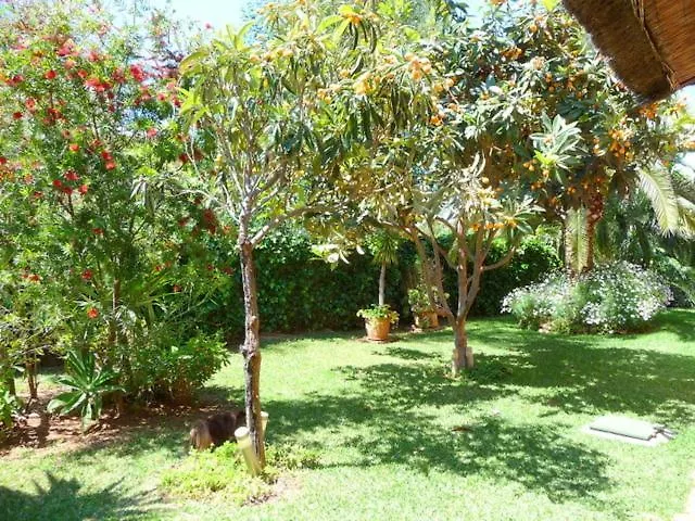 Casa Las Palmeras (Adults Only) Marbella Hotel