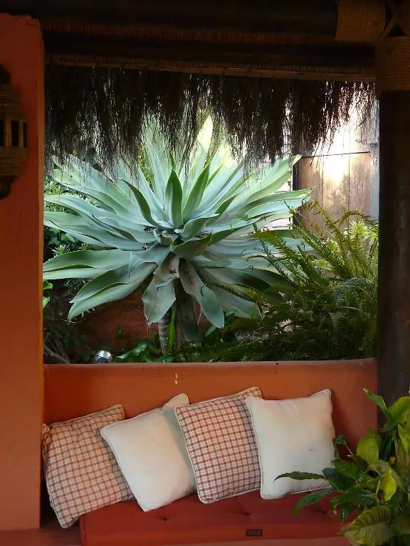 Casa Las Palmeras (Adults Only) Marbella Hotel