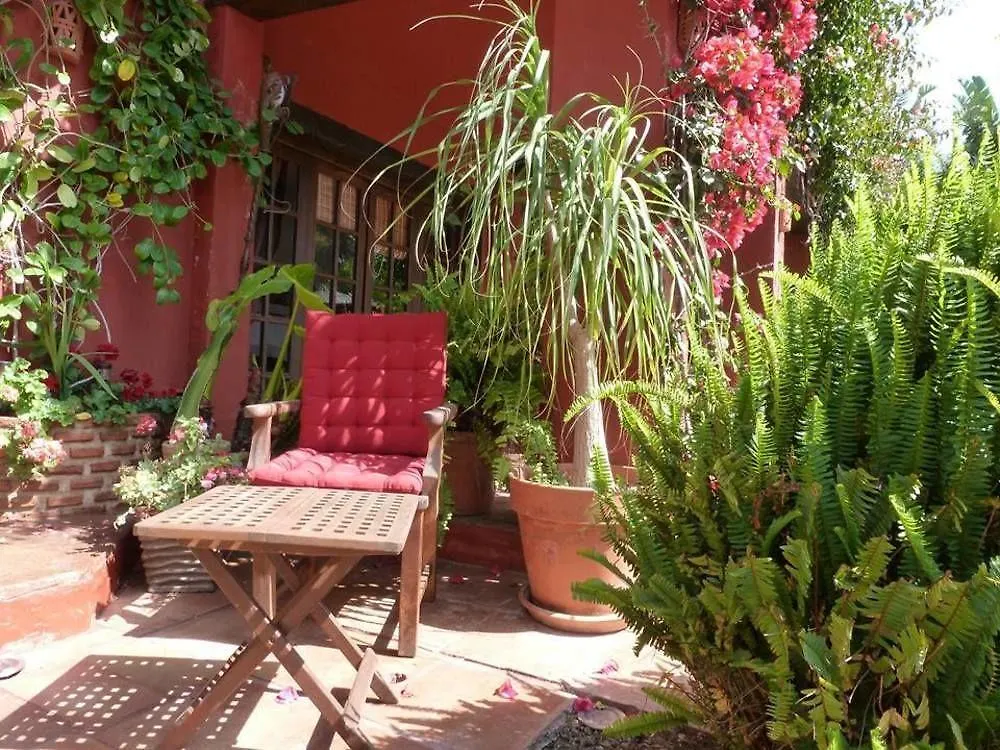 Casa Las Palmeras (Adults Only) Marbella
