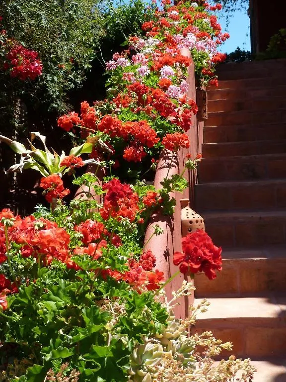 Casa Las Palmeras (Adults Only) Marbella
