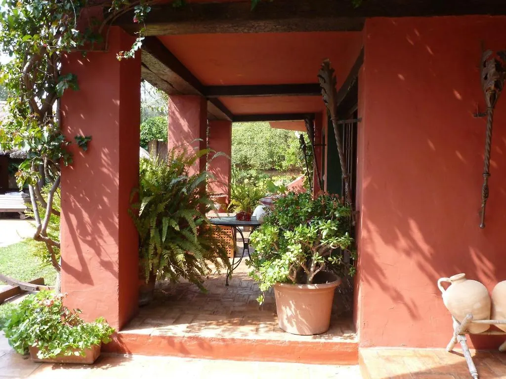 Casa Las Palmeras (Adults Only) Marbella Hotel