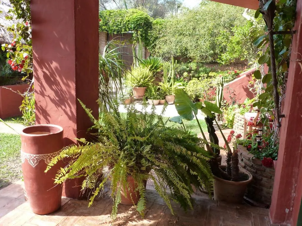 Casa Las Palmeras (Adults Only) Marbella Spain
