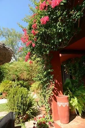 Casa Las Palmeras (Adults Only) Marbella