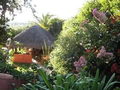 Casa Las Palmeras (Adults Only) Marbella