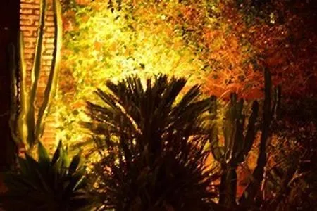 Casa Las Palmeras (Adults Only) Marbella