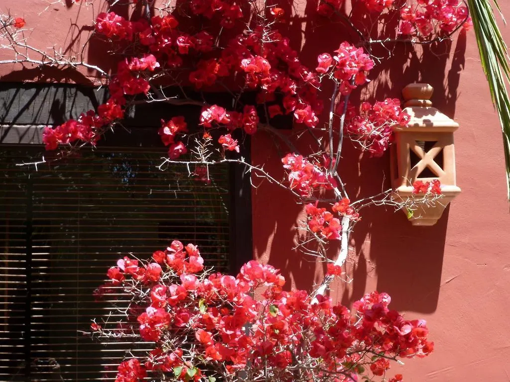 Hotel Casa Las Palmeras (Adults Only) Marbella