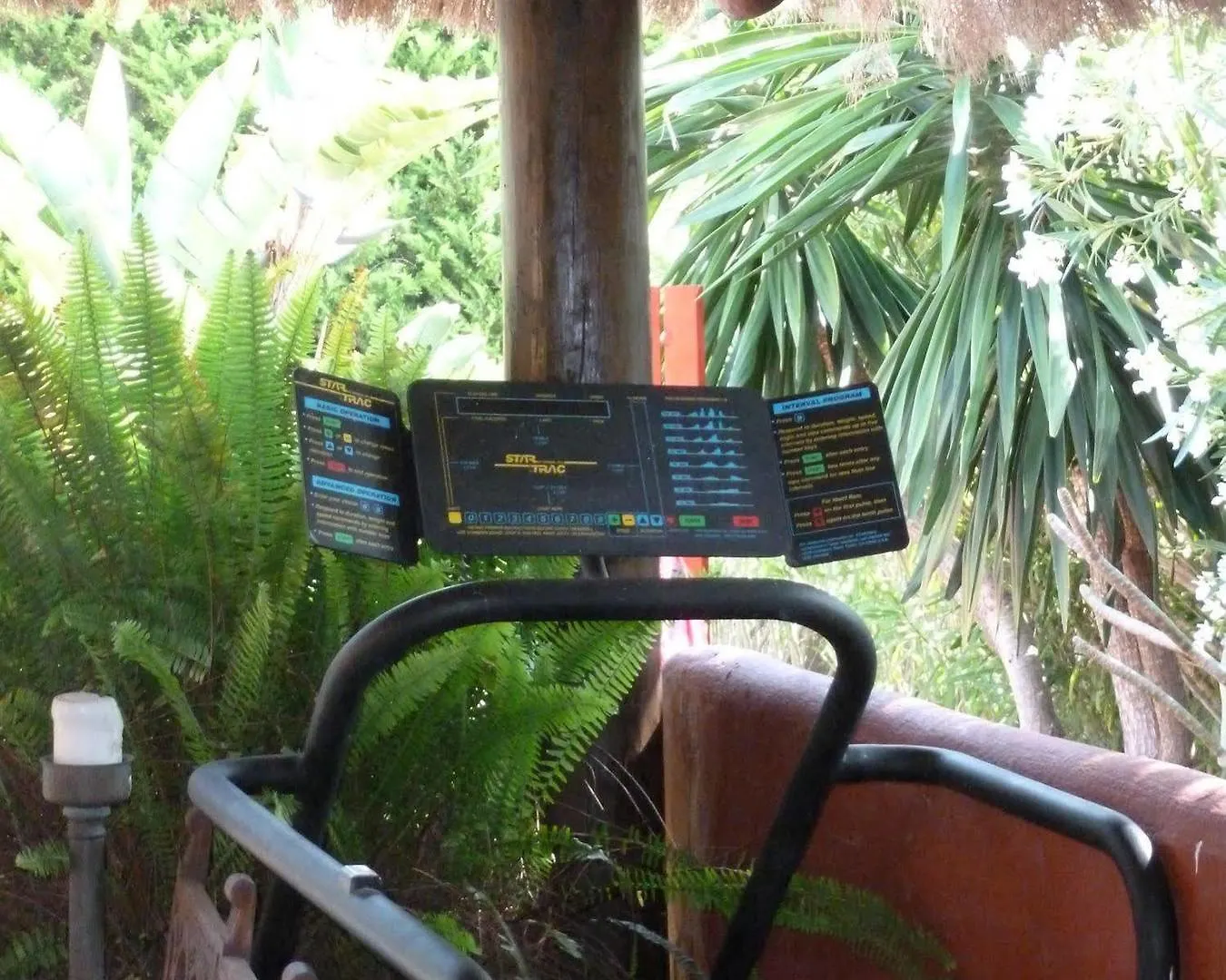 Hotel Casa Las Palmeras (Adults Only) Marbella