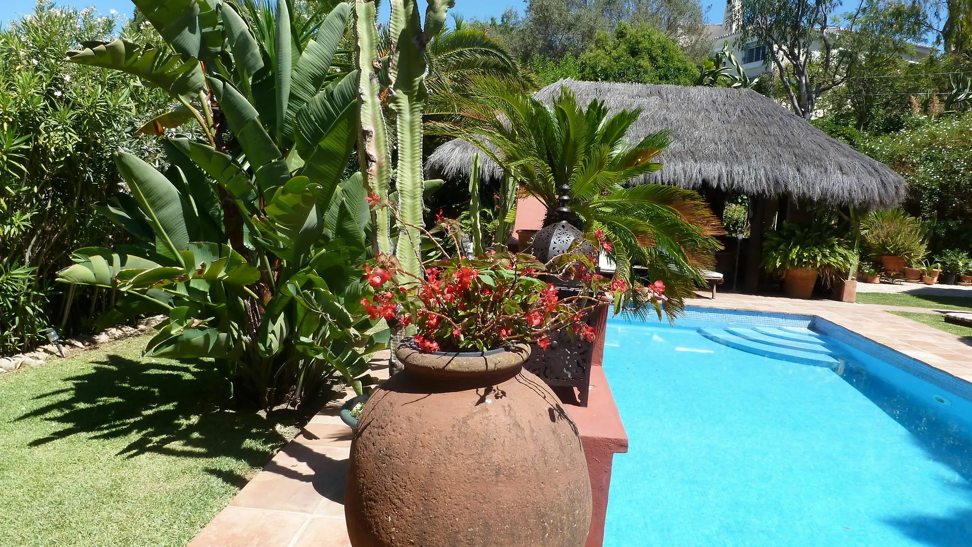 Casa Las Palmeras (Adults Only) Marbella Spain